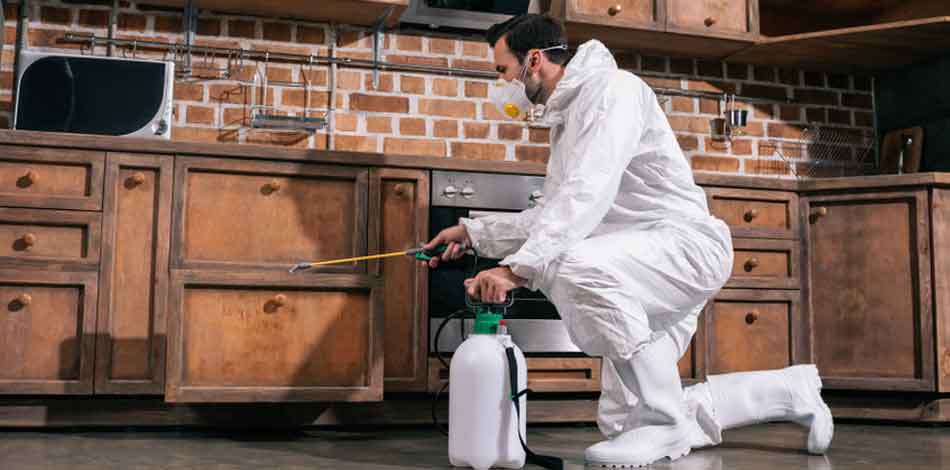 Buy a Florida Pest Control Business