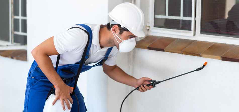 Sell a Florida Pest Control Business